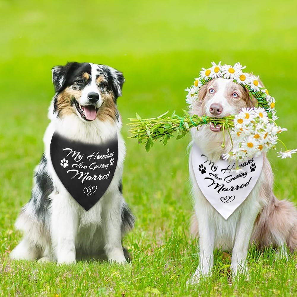 Engagement Gifts for Dog Lovers, 2 Pack Dog Wedding Outfit Bandanas, Amazing Wedding Gifts for Couples Who Own Pets, Ideal Presents for Bride and Groom, Hen Party, Engagement Decoration - L