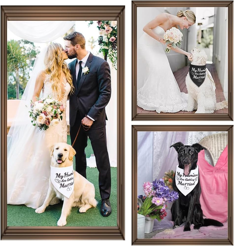 Engagement Gifts for Dog Lovers, 2 Pack Dog Wedding Outfit Bandanas, Amazing Wedding Gifts for Couples Who Own Pets, Ideal Presents for Bride and Groom, Hen Party, Engagement Decoration - L